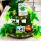 St Patricks Day Decorations Shamrocks String Lights Battery Operated with Remote 10 ft 40 LEDs Lucky Clover Green Lights for Bedroom Party Feast of Saint St. Patrick's Day Decoration